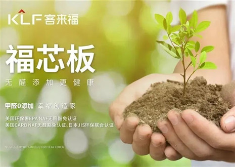 xc体育丨坚持走环保家居之路，守护国民家庭健康