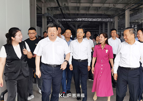 热烈欢迎安徽省淮南市委书记一行调研xc体育智能家居产业园建设项目